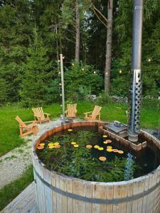 Domingo Dacha Selakh Guest house - 763