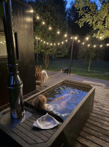 Domingo Dacha Selakh Guest house - 571