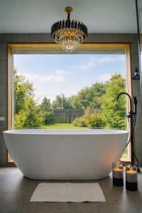 Domingo Dacha Selakh Guest house - 516