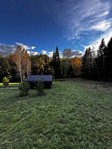 Domingo Dacha Selakh Guest house - 95