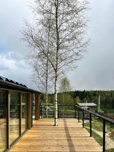 Domingo Dacha Selakh Guest house - 196