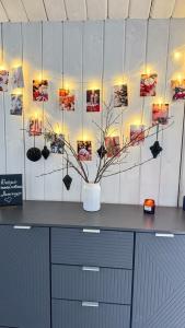 Domingo Dacha Selakh Guest house - 288