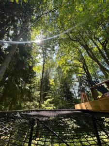 Domingo Dacha Selakh Guest house - 380