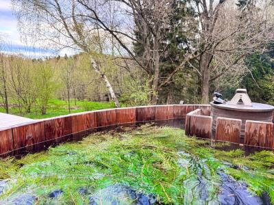 Domingo Dacha Selakh Guest house - 199