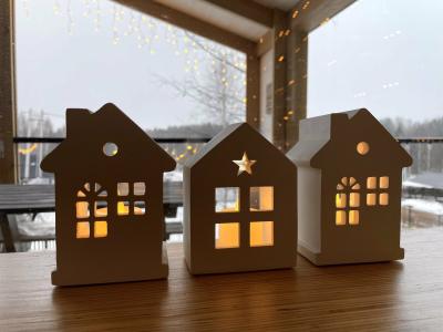 Domingo Dacha Selakh Guest house - 198