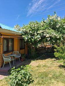 Chimgan Apple Garden - 28