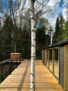 Domingo Dacha Selakh Guest house - 191