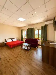 Uzumfermer Mini-hotel - 56