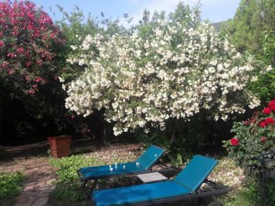 HemeransAnatolia - 26