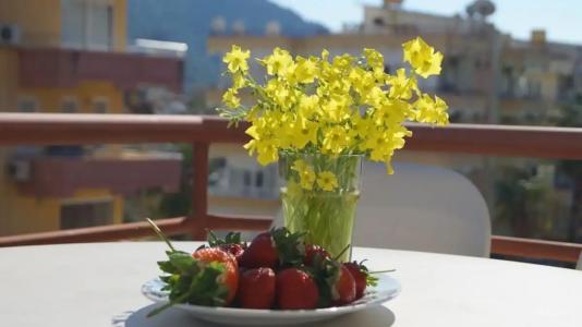 Baronessa Apart - 58