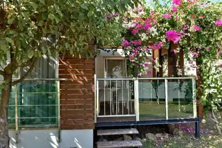 Green Garden Resort & Spa - 584