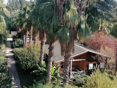 HemeransAnatolia - 31