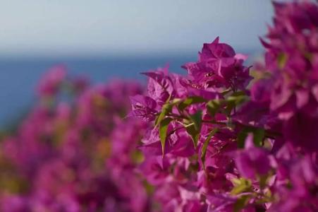 Mandarin Oriental, Bodrum - 216