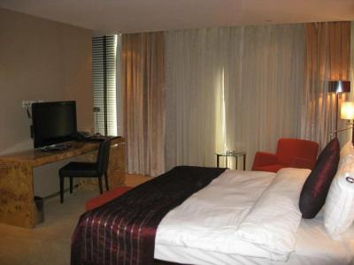 Grand Ankara & Convention Center - 130