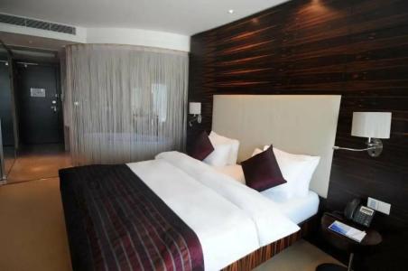 Grand Ankara & Convention Center - 237