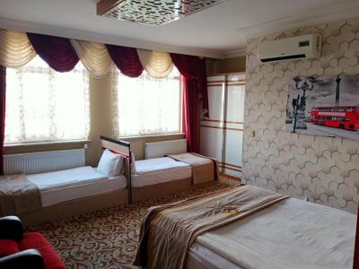 Demosan City Otel - 73