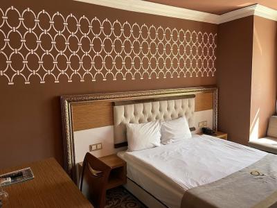 Demosan City Otel - 69