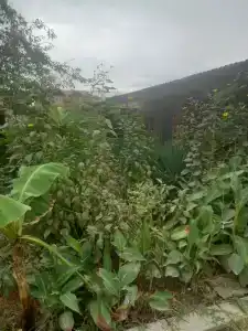 Rial Guest House - 30