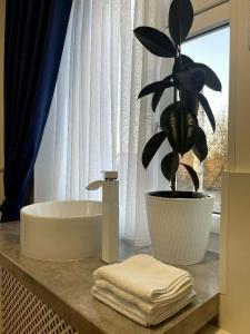 Family Guest House & Hostel - 37
