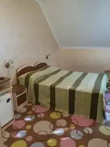 Serebrannyj Vek Pansionat - 40