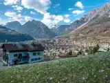 Run of House