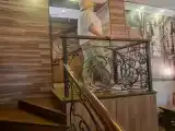 Run of House