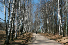 Yasnaya Polyana Leo Tolstoy Yasnaya Polyana Leo Tolstoy