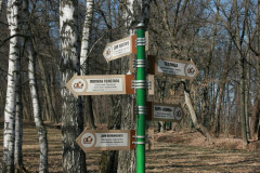 Yasnaya Polyana Leo Tolstoy Yasnaya Polyana Leo Tolstoy