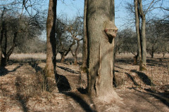 Yasnaya Polyana Leo Tolstoy Yasnaya Polyana Leo Tolstoy