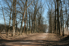 Yasnaya Polyana Leo Tolstoy Yasnaya Polyana Leo Tolstoy