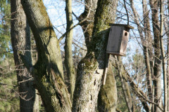 Yasnaya Polyana Leo Tolstoy Yasnaya Polyana Leo Tolstoy