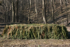 Yasnaya Polyana Leo Tolstoy Yasnaya Polyana Leo Tolstoy