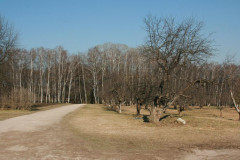 Yasnaya Polyana Leo Tolstoy Yasnaya Polyana Leo Tolstoy