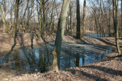 Yasnaya Polyana Leo Tolstoy Yasnaya Polyana Leo Tolstoy