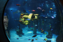 Legoland in Denmark - photo 20