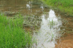 The Source Of The Dnieper river - photo 7