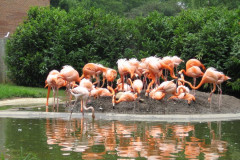 National Zoological Park