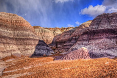Petrified Forest National Park