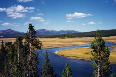 Yellowstone National Park