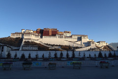 Lhasa Lhasa