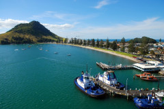 Tauranga Tauranga