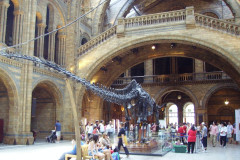 Natural History Museum