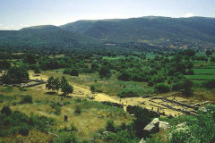 Dodona