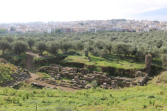 Sparta