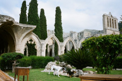 Bellapais Abbey in Kyrenia