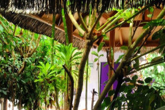Dhidhdhoo Dhidhdhoo