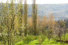 Bartin