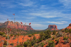 Sedona