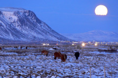 Selfoss