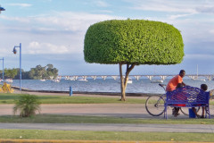 Samana Samana